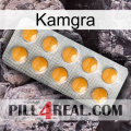 Kamgra levitra1